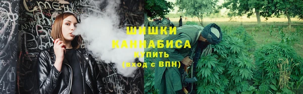 прущие грибы Снежинск