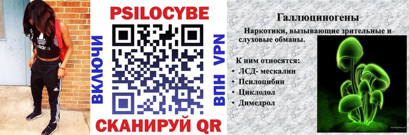omg рабочий сайт  Кинель  Галлюциногенные грибы Cubensis 
